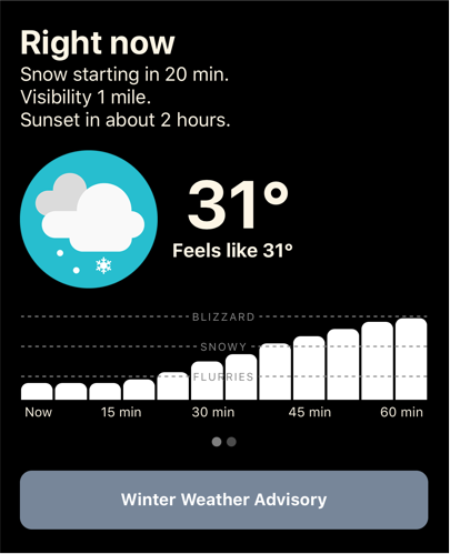 Forecast with real-time precipitation